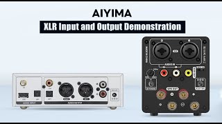 How to Properly Connect XLR Inputs and Outputs? | Aiyima DP02 + Aiyima A70 Demonstration