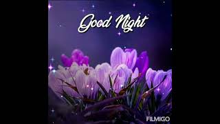 Good night sweet beautiful dreams ❤❤❤ Good night YouTube video ❤❤❤