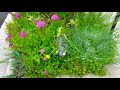 june flowers blooming in the garden of a japanese home