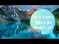 Whats the Best Fuel for Endurance Athletes? Fat or Carbs: