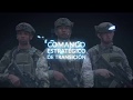 Comando Conjunto de Monitoreo y Verificación CCMOV