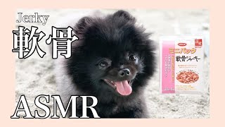 【犬ASMR / dog】軟骨ジャーキーを食べるポメラニアン【eatingsounds/咀嚼音】