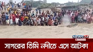 নোয়াখালীর চরে ৫০ মণ ওজনের জীবিত তিমি | News24 Special