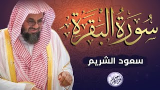 سورة البقرة كاملة فضيلة الشيخ سعود الشريم ✦ surah baqarah saud shuraim