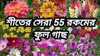 শীতের সেরা 55 রকমের ফুল গাছ🌷||Winter Flowers Plants💐||শীতকালীন বাগানে কি ফুল গাছ করবেন