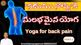 నడుము నొప్పికి సులభమైన యోగ Part -1|| yoga for back pain #yoga #telugu #back pain#yoga with arjunak