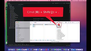 Wordpress Debugging mit Phpstorm und LocalWP