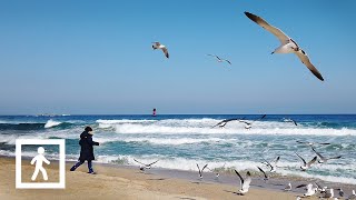 [4K] Walking along Gyeongpo Beach in Gangneung-si, Gangwon-do, South Korea 경포대 해수욕장 걷기 강원도 강릉시 대한민국