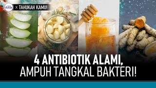 4 Antibiotik Alami yang bisa Cegah Infeksi Bakteri di Tubuh | Hidup Sehat tvOne