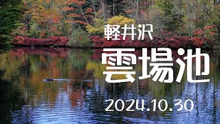 軽井沢　雲場池の紅葉