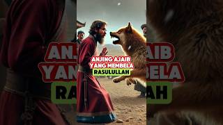 Kisah Seekor Anjing Yang Membela Rasulullah