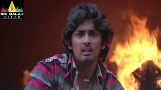Aata Movie Siddharth Saving Pets Scene | Siddharth, Ileana | Sri Balaji Video
