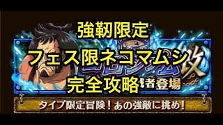 【トレクル】ONE PIECE コロシアム改 vs.錦えもん 強靭タイプ限定その2完全攻略＠フェス限ネコマムシパ【OPTC】