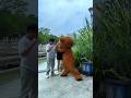 Short Video ##prank . Teddy Bear. Emotional. 😥😥#comedy 😥#shorts Teddy Funny Short Video #teddybear