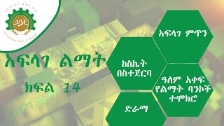 አፍላገ ልማት (ክፍል 14) - ከስኬት በስተጀርባ፣ የዓለም-አቀፍ የባንክ ተሞክሮ እና ድራማ