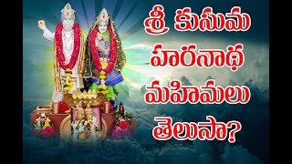 శ్రీ కుసుమ హరనాథ బాబా వారి గొప్పతనం తెలుసా?|| Sri Kusuma Haranath || Duvvada Ashramam||meemla.in||