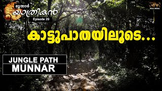 Jungle path | Episode 29 |  India Munnar Travel Vlog 2020 Malayalam | Yathrikan | മൂന്നാർ