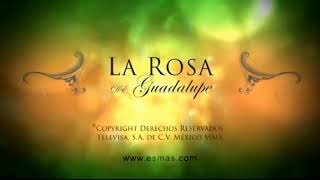 intro de la rosa de Guadalupe