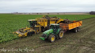 Suikerbieten rooien in Canada door Kamper Group🇨🇦 /Sugarbeet harvest in Canada by Kamper Group🇨🇦