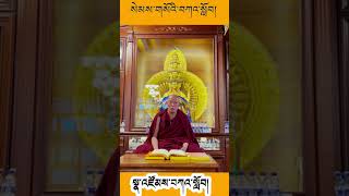 དེང་རི་ཡི་ས་ཡོམ་གྱི་གནོད་ཚེ་ཕོག་པའི་མི་སེར་རྣམས་ལ་སེམས་གསོ་བཀའ་སློབ།