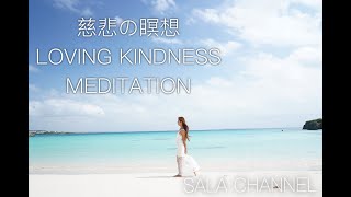 【慈悲の瞑想🕊】命への慈しみ 祈りの言葉 LOVING KINDNESS MEDITATION