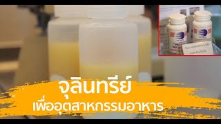 ศาสตร์ปันสุข สุดสัปดาห์ : จุลินทรีย์เพื่ออุตสาหกรรมอาหาร ตอนที่ 1