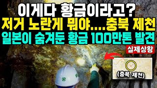 이게다 황금이라고? 저거 노란게 뭐야....충북 제천일본이 숨겨둔 황금 100만톤 발견