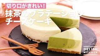 切り口がきれい！     抹茶のグラデーションチーズケーキ　｜　How To Make Green tea Gradation Cheese Cake