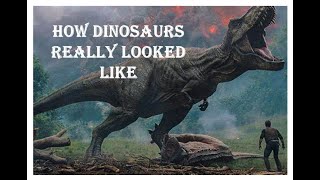 How Dinosaurs really looked like?