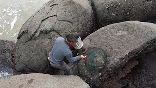 来叔登岛屿碰碰运气，没想到刚上来就有大收获，这一条就能回本了