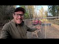 Fortifying Our Off Grid Oasis With Custom DIY Gates