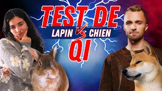 Peut-on BATTRE le chien de SQUEEZIE ?⚡️ Test de QI Lapin VS Chien