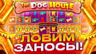 ЛЮТАЯ СЕСИЯ В СЛОТЕ The Dog House Multihold РЕКОРД ПО ОТКРЫТИЮ ЭКРАНОВ!!! / ЗАНОС В СОБАКАХ ???