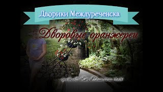 #Междуреченск. #ДворовыеОранжереи. пр-кт 50 Лет Комсомлоа 61,65