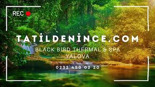 Black Bird Thermal \u0026 Spa | Yalova