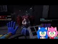 sonic and amy play poppy playtime story mode chapter 4