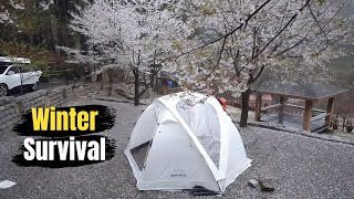 Solo Snow Camping in the Mountains | Extreme Winter Survival \u0026 Bushcraft Adventure