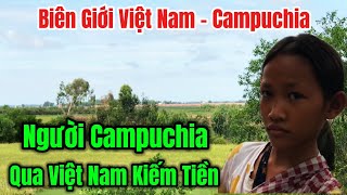 Tình Hình Biên Giới Việt Nam - Campuchia.Người Dân Campuchia Ồ Ạt Qua Việt Nam Kiếm Tiền #ChợViệtTV