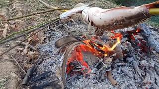 Amazing Rural Style​ Cooking - 3kg snakehead, បង់បានត្រីឆ្តោរមួយ ជិត៣គីឡូ មុកឡើងរហែកសំណាញ់ 😋😋😋😋😋😋