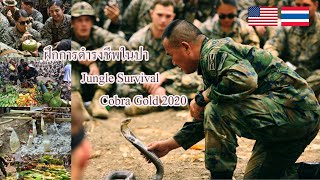 Jungle Survival ล้านวิว ตอนที่ 1 พืชผัก ผลไม้ Cobra Gold 2020 EP.8  (ติดตามช่างภาพสายลุย)