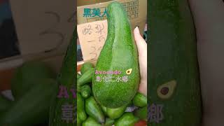 彰化二水 也種黑美人酪梨🥑（播放清單：酪梨粉絲）#avocado