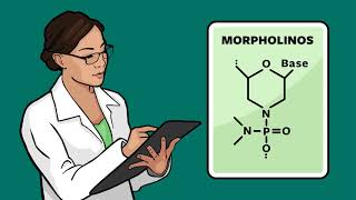 Onco Morpholinos - For the Study and Treatment of Cancers