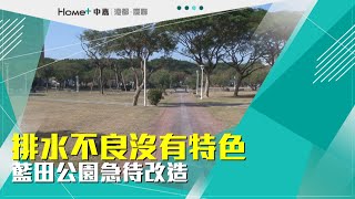 打造特色公園|排水不良沒有特色 藍田公園急待改造