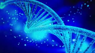 Understanding The 12 Strands Of DNA Which Was A Part Of Our Ancestors Heritage. DNA Activation!