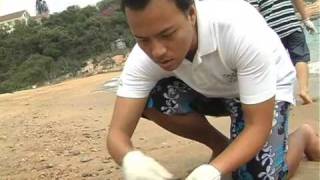 Beach Cleaning Campaign