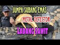 jumpaan subang Emas 916 dalam Ladang kelapa sawit Mengunakan Metal Detector CTX3030 Minelab