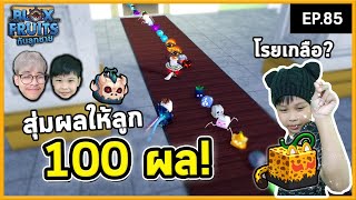 สุ่มผลปิศาจ 100 ผล ให้ลูกชาย | Bloxfruits กับลูกชาย EP85