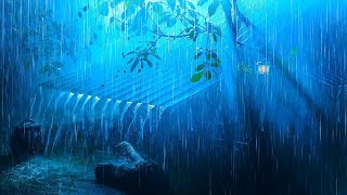 Deep Into Sleep with Heavy Rain \u0026 Enegetic Thunder on a Rusty Tin Roof in Barren Rainforest at Night