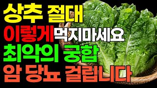 상추 '이것'과 같이 드시면 정말 최악의 궁합입니다. 피부 살리는 상추 효능과 부작용 알아봅니다. 암 당뇨 예방하는 상추 섭취 방법!