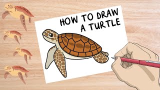 How to Draw a Sea Turtle | World Turtle Day Activities | Simple Art Tutorial for Kids | Twinkl USA